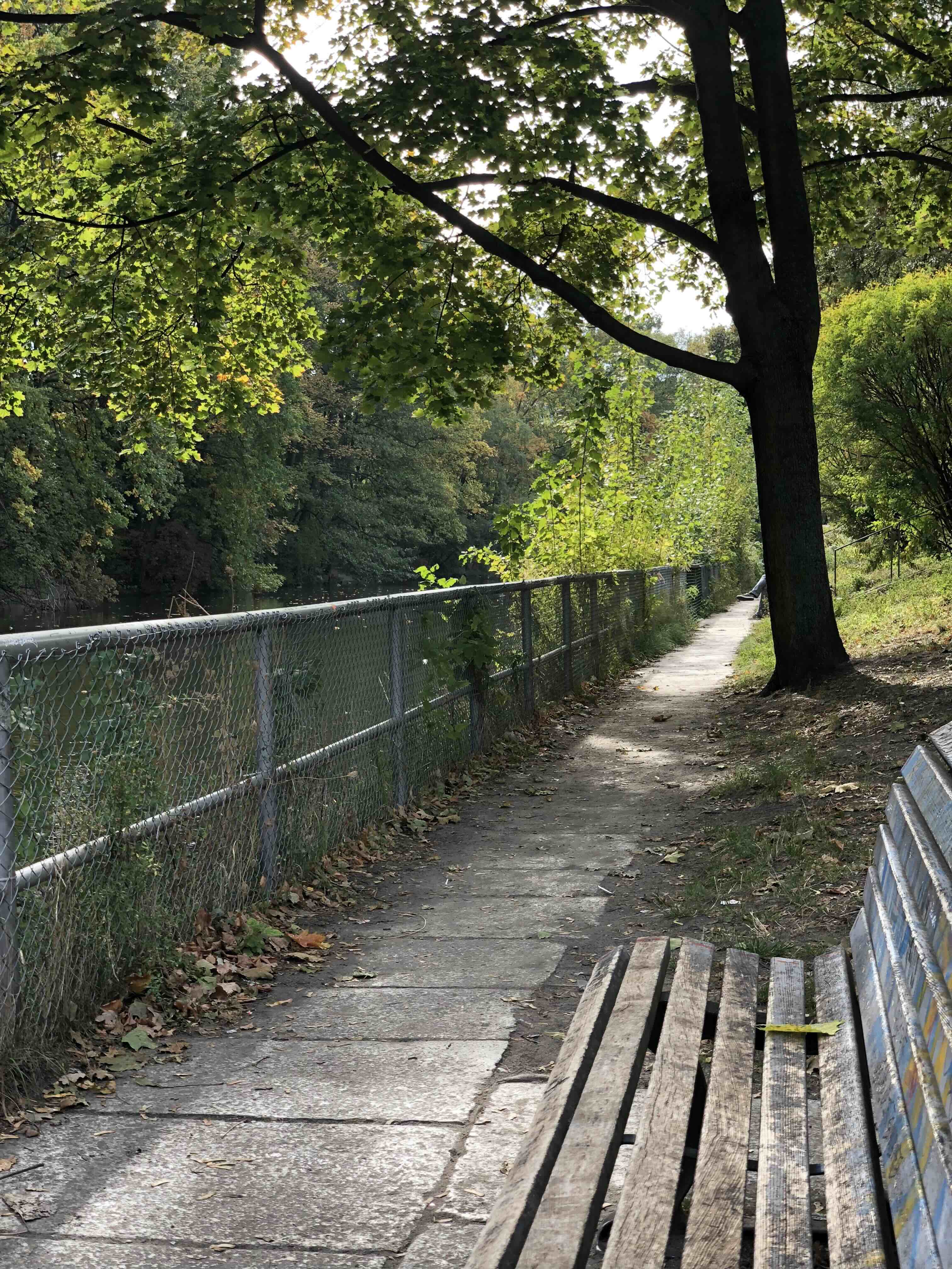 A weathered wooden bench beside a tree-lined path along the water in Berlin